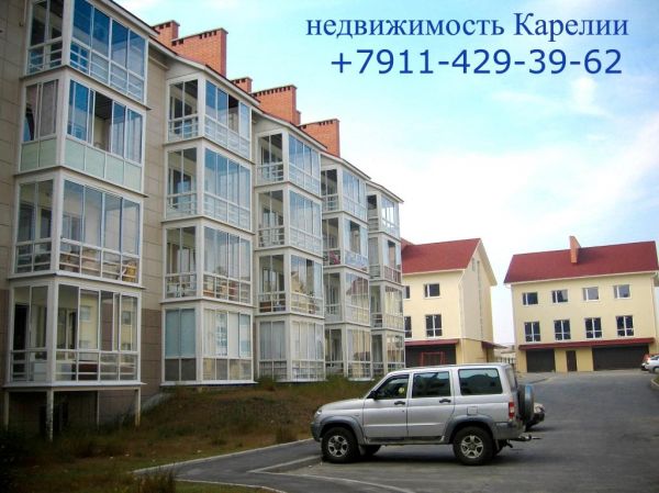 115.jpg
